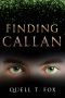 [The Road to Truth 02] • Finding Callan